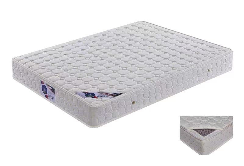 Paco 611 ”加棕“ 双面睡– Tang's Furniture & Mattress
